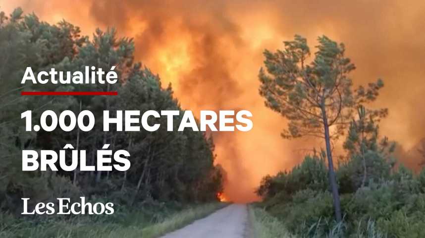 Illustration pour la vidéo En Gironde, plus de 1.000 hectares de forêt brûlés et 6.000 personnes évacuées