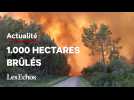 En Gironde, plus de 1.000 hectares de forêt brûlés et 6.000 personnes évacuées