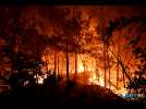 Incendies de forêt: l'Europe à l'épreuve du feu