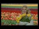 Courage fuyons - Bande-annonce