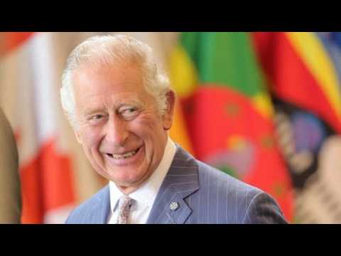 VIDEO : Prince Charles mu : les dtails de sa rencontre avec Lilibet dvoils