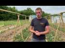 Ruitz : apprendre la permaculture avec Ptitpot'