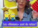 Connaissez-vous le Minionese? La langue des Minions