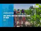 VIDEO. Les labyrinthes géants séduisent et se multiplient en Loire-Atlantique