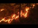 Dans le Gard, un feu ravage des centaines d'hectares de forêt