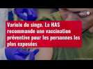 VIDÉO. Variole du singe : la HAS recommande une vaccination préventive pour les personnes