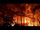 Des feux de forêt détruisent des centaines d'hectares dans le sud de la France