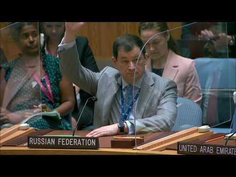 Russia vetoes UN resolution extending cross-border aid to Syria