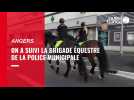 VIDÉO. La police à cheval à Angers, une approche apaisante de la sécurité