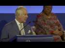 Commonwealth: les pays sont libres de choisir leur voie, dit le prince Charles