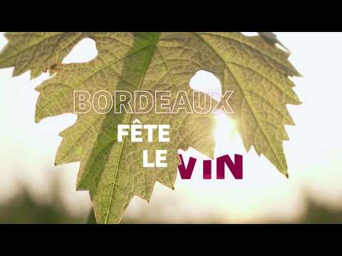 Les Débats | Quel vin de Bordeaux en 2030, voire en 2050 ?