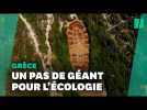 En Grèce, une empreinte géante pour dénoncer les destructions écologiques
