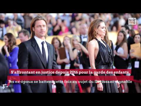 VIDEO : Brad et Angelina: la guerre du ros