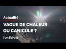 Quelles différences entre vague de chaleur et canicule ?