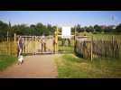 Un espace de liberté pour les chiens dans le parc de Mouscron