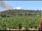 Pyrénées-Orientales : 1100 hectares brûlés dans les incendies