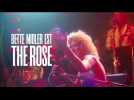 The Rose