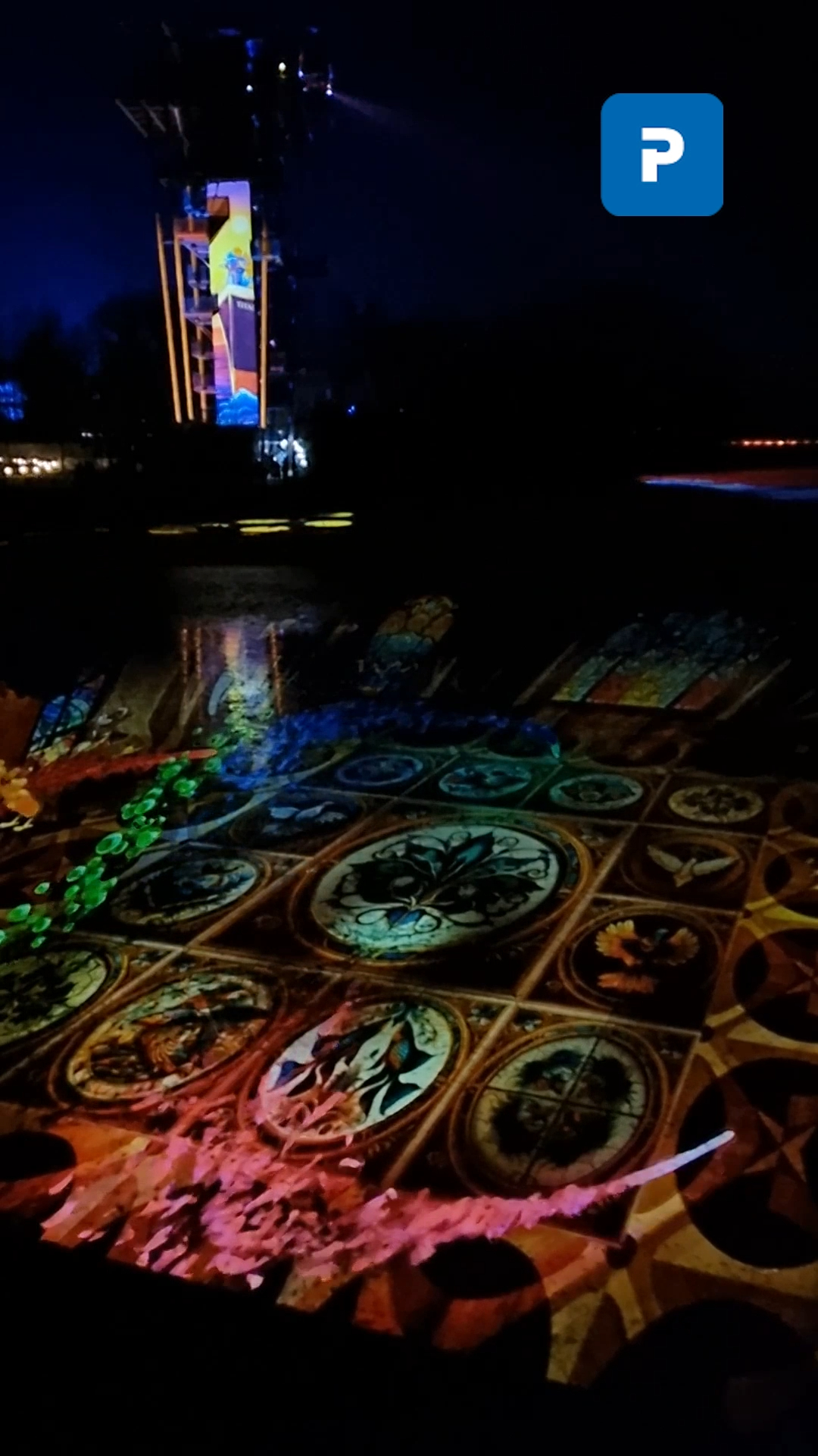 Un spectacle féérique et haut en couleurs au parc des Oiseaux