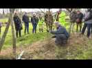 Un atelier pour apprendre à couper ses haies et ses arbres