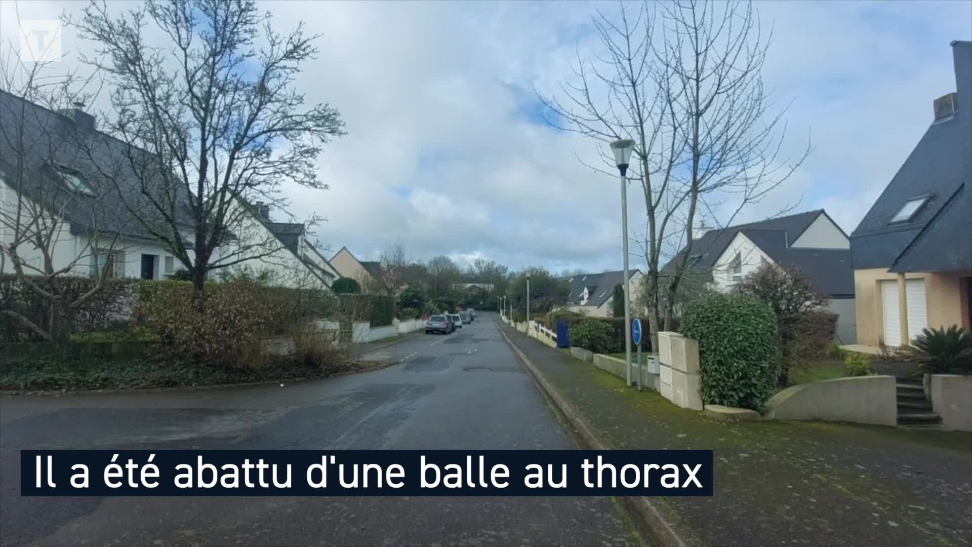 Homme armé abattu par un tir de gendarme en Ille-et-Vilaine : que s'est-il passé ? [Vidéo]