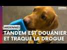 Contrôle de douane : rencontre avec un maître-chien de recherche anti-stupéfiants