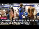 Comment se passe la traite des vaches au Salon de l'agriculture ?