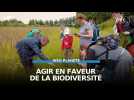 Ils agissent en faveur de la biodiversité