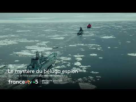 [Bande-annonce] Le Monde en face : Le Mystère du béluga espion