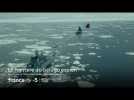 [Bande-annonce] Le Monde en face : Le Mystère du béluga espion