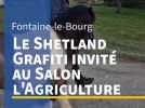 Près de Rouen, le Shetland Grafiti invité au Salon l'Agriculture