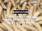 Agriculture : Christine fabrique des pâtes avec le blé de sa ferme