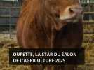 Oupette, la star du Salon de l'Agriculture 2025