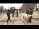 Trophée de l'enseignement agricole : 6 étudiants beauvaisiens prêt pour le ring...