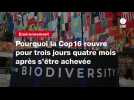 VIDEO. Pourquoi la Cop16 rouvre pour trois jours quatre mois après s'être achevée
