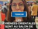 Fabienne Bonet, présidente de la Chambre d'agriculture des Pyrénées-Orientales, au Salon de l'Agriculture