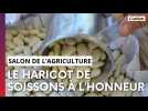 Le haricot de Soissons mis à l'honneur au Salon de l'Agriculture