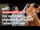 Salon de l'Agriculture : une vache égérie originaire des Hauts-de-France l'année prochaine ?