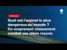 VIDEO. Quel est l'animal le plus dangereux du monde ? Ce surprenant classement combat vos idées reçues