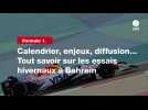 VIDÉO. Formule 1. Calendrier, enjeux, diffusion... Tout savoir sur les essais hivernaux à Bahreïn