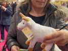 Salon de l'agriculture : on repart avec quoi du stand Bourgogne-Franche-Comté ?