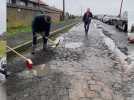 Paris-Roubaix : les bénévoles des Amis de Paris-Roubaix ont soigné le secteur d'Orchies