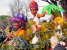 Les sublimes images de la fête du mimosa à Mandelieu