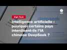 VIDEO. Intelligence artificielle : pourquoi certains pays interdisent-ils l'IA chinoise DeepSeek ?