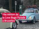 16e édition de la Love Bugs Parade à Bruxelles