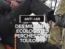 Autoroute A69 : des militants écologistes suspendus dans les arbres devant le tribunal administratif