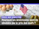 États-Unis : Pourquoi les Américains sont-ils obsédés par le prix des oeufs ?