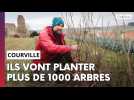 Grand Reims : ils vont planter plus de 1000 arbres à Courville