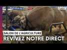 Revivez notre direct du Salon de l'Agriculture