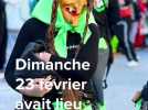 Plusieurs milliers de festivaliers pour le carnaval de Lauterbourg