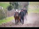 À Rupt-sur-Moselle, Michel Parmentier prépare ses champs avec un cheval